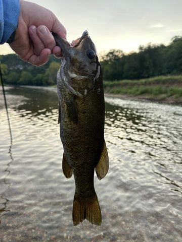 1845 Sycamore Ranch Road, Galena, MO 65656