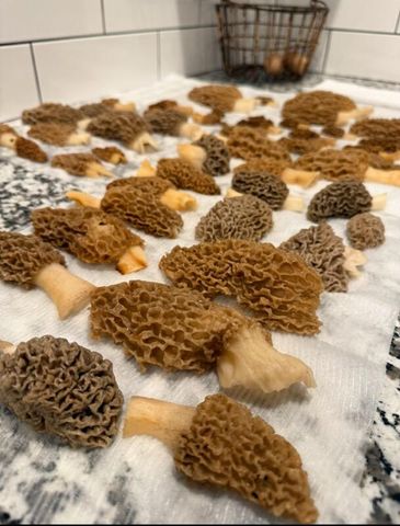 1845 Sycamore Ranch Road, Galena, MO 65656