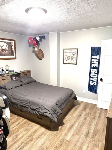 356 Lee Rd, Cottontown, TN 37048