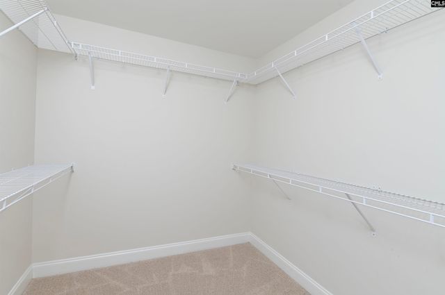 144 Savannah Wood Road, Hopkins, SC 29061