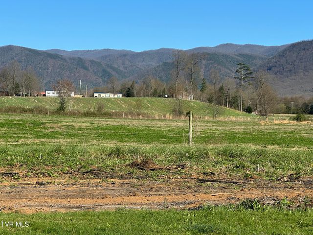 1173 Camp Creek Road, Greeneville, TN 37743