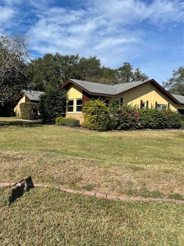 410 E ORCHID WAY, Howey In The Hills, FL 34737