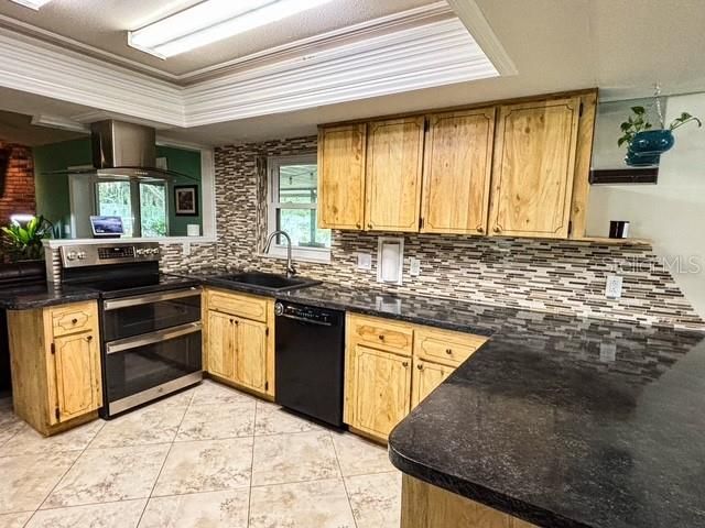 410 E ORCHID WAY, Howey In The Hills, FL 34737