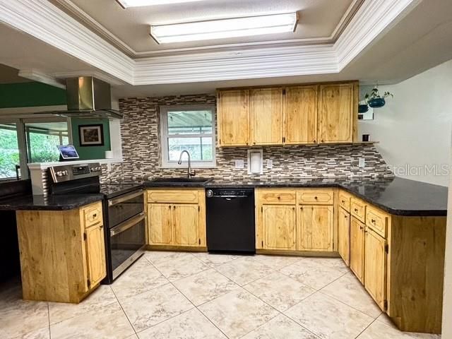 410 E ORCHID WAY, Howey In The Hills, FL 34737