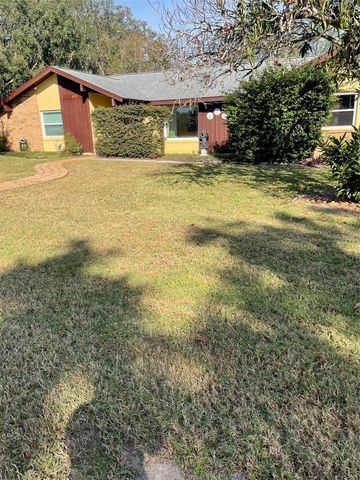 410 E ORCHID WAY, Howey In The Hills, FL 34737