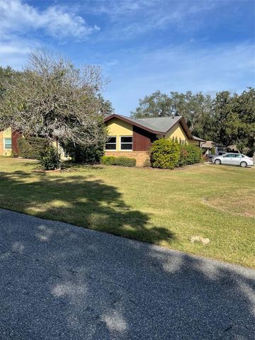 410 E ORCHID WAY, Howey In The Hills, FL 34737