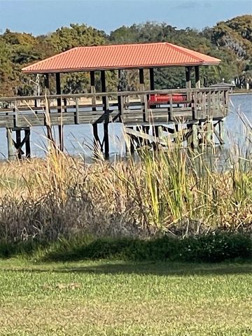 410 E ORCHID WAY, Howey In The Hills, FL 34737