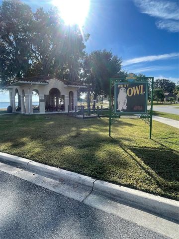 410 E ORCHID WAY, Howey In The Hills, FL 34737