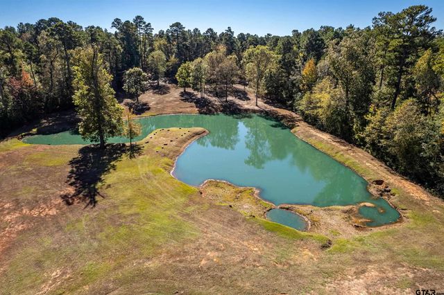 15198 E FM 16, Winona, TX 75792