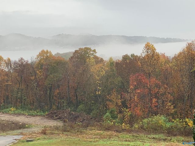 3034 Woodvue Road, Guntersville, AL 35976