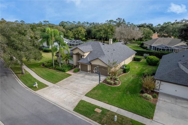 3829 SPRUCE PINE DRIVE, Valrico, FL 33596