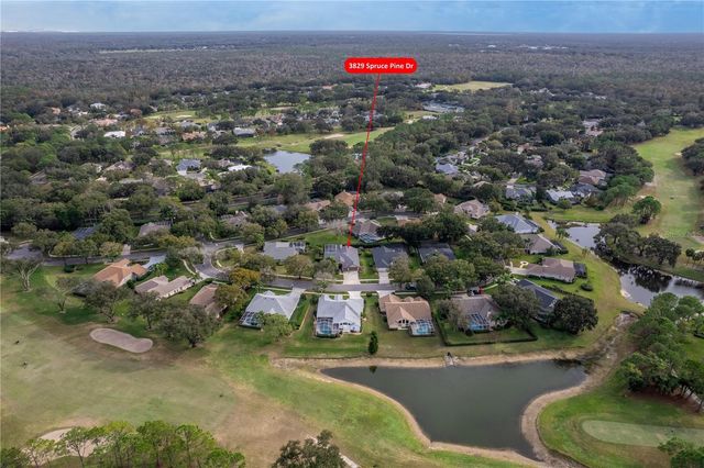 3829 SPRUCE PINE DRIVE, Valrico, FL 33596