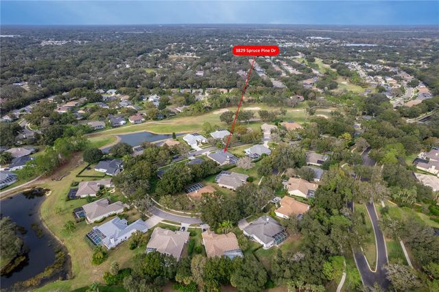 3829 SPRUCE PINE DRIVE, Valrico, FL 33596