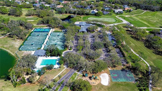 3829 SPRUCE PINE DRIVE, Valrico, FL 33596