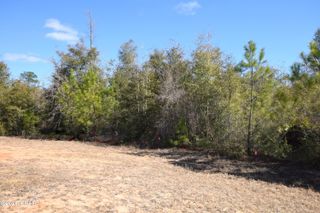 XXX Spirit Court, Alford, FL 32420