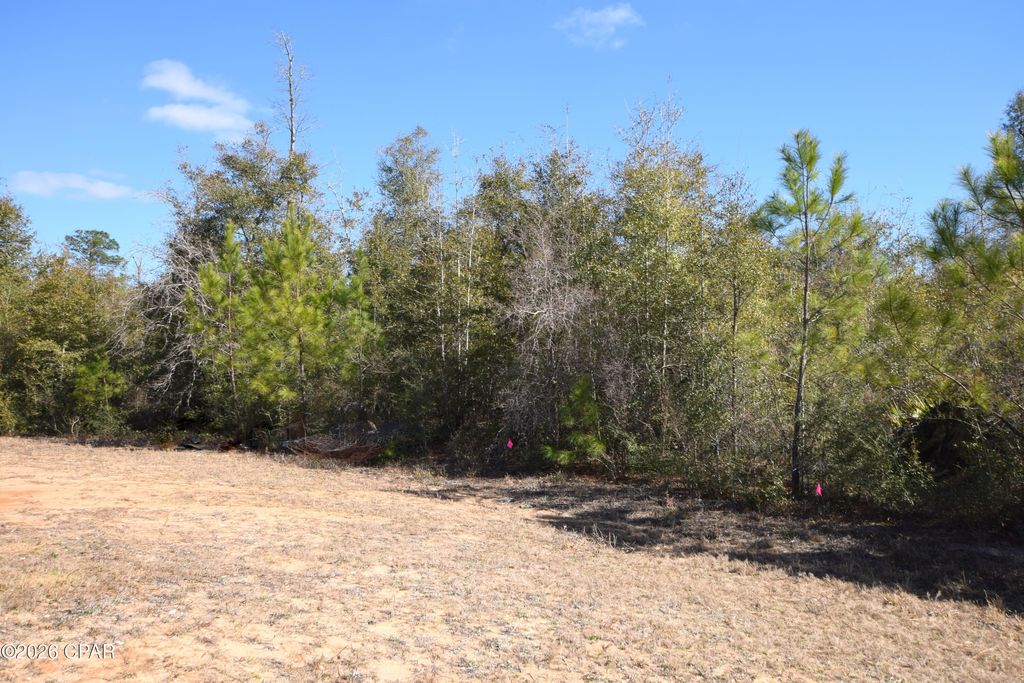 XXX Spirit Court, Alford, FL 32420