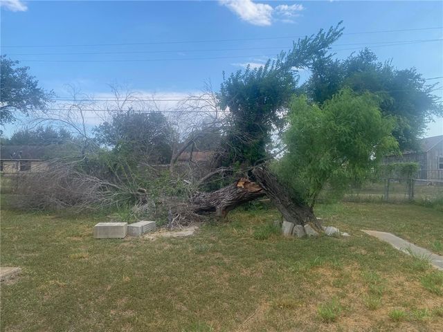 813 E Yoakum Ave, Kingsville, TX 78363