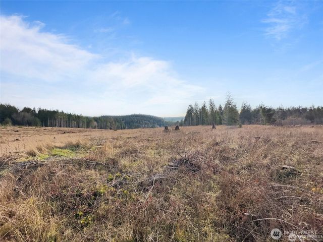 607 Brown, Adna, WA 98522