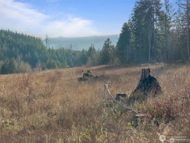 607 Brown, Adna, WA 98522