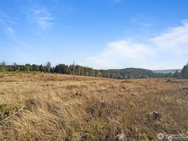 607 Brown, Adna, WA 98522