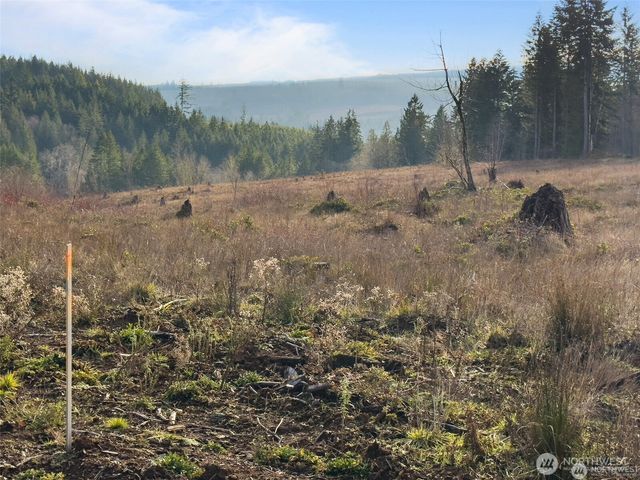 607 Brown, Adna, WA 98522