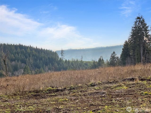 607 Brown, Adna, WA 98522