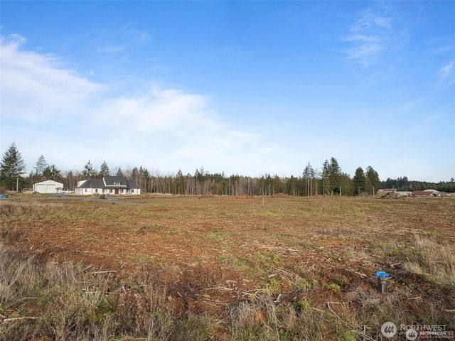 607 Brown, Adna, WA 98522