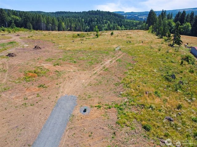 607 Brown, Adna, WA 98522