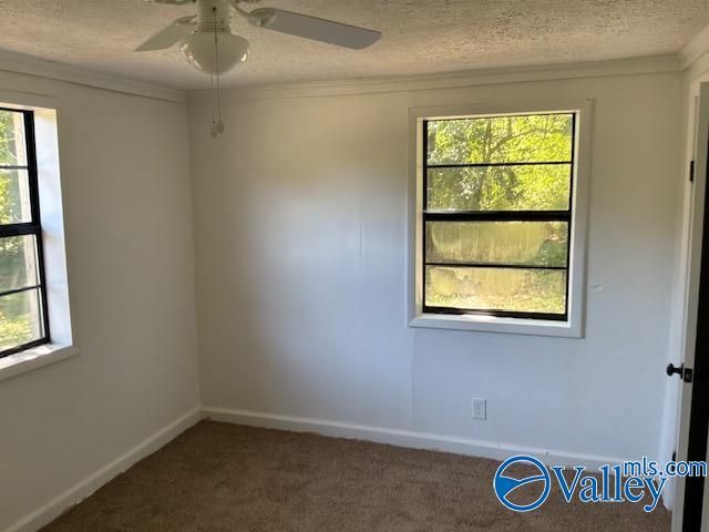 303 Cromwell Avenue, Gadsden, AL 35903