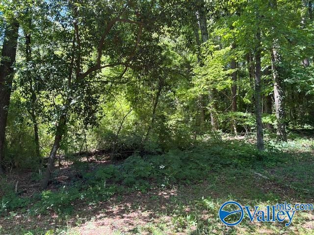 303 Cromwell Avenue, Gadsden, AL 35903