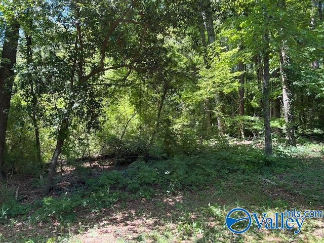 303 Cromwell Avenue, Gadsden, AL 35903