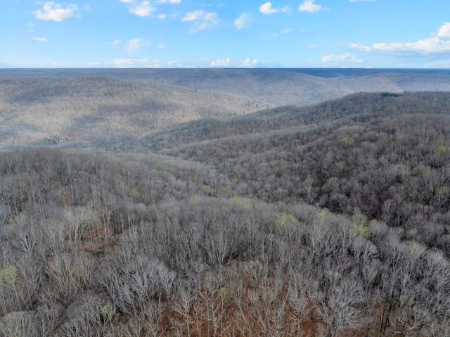 4015 Keith Springs Mountain Rd, Belvidere, TN 37306
