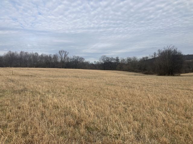 6 Southport RD, Mount Pleasant, TN 38474