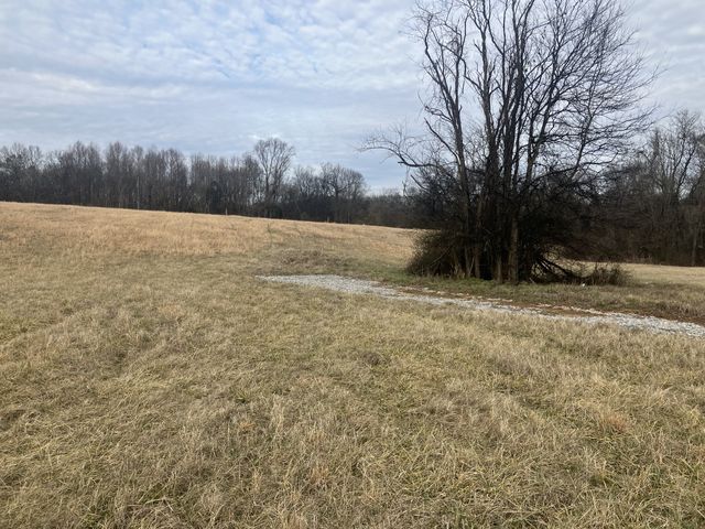 6 Southport RD, Mount Pleasant, TN 38474