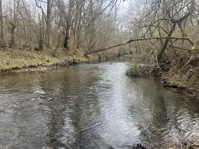 6 Southport RD, Mount Pleasant, TN 38474