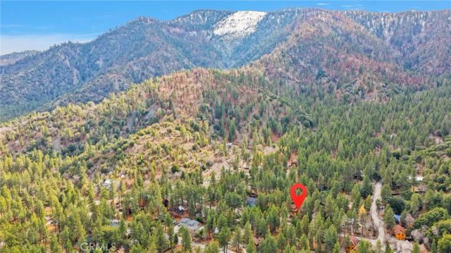 985 Pheasant, Wrightwood, CA 92397