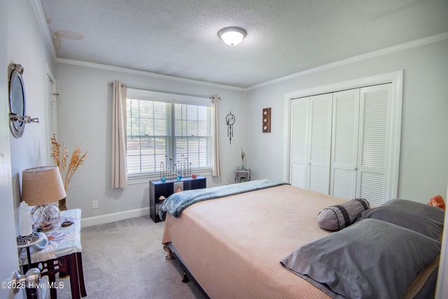 124 Osceola Drive, Greenville, NC 27858