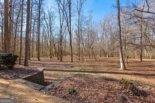 3230 Tommy Lee Cook Road, Newnan, GA 30263