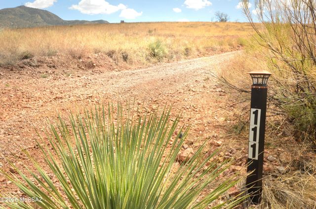 111 Red Mountain Court, Patagonia, AZ 85624
