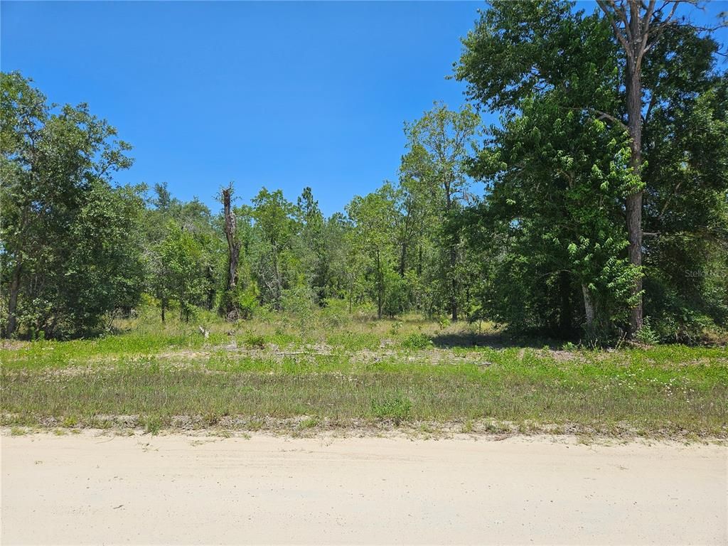 TBD SE 26TH STREET, Morriston, FL 32668