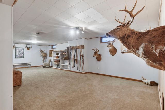 9658 Crestview Drive, Saint Joseph, MN 56374