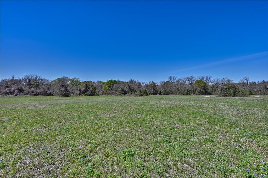 TBD FM 2 Road, Navasota, TX 77868 — photo 3