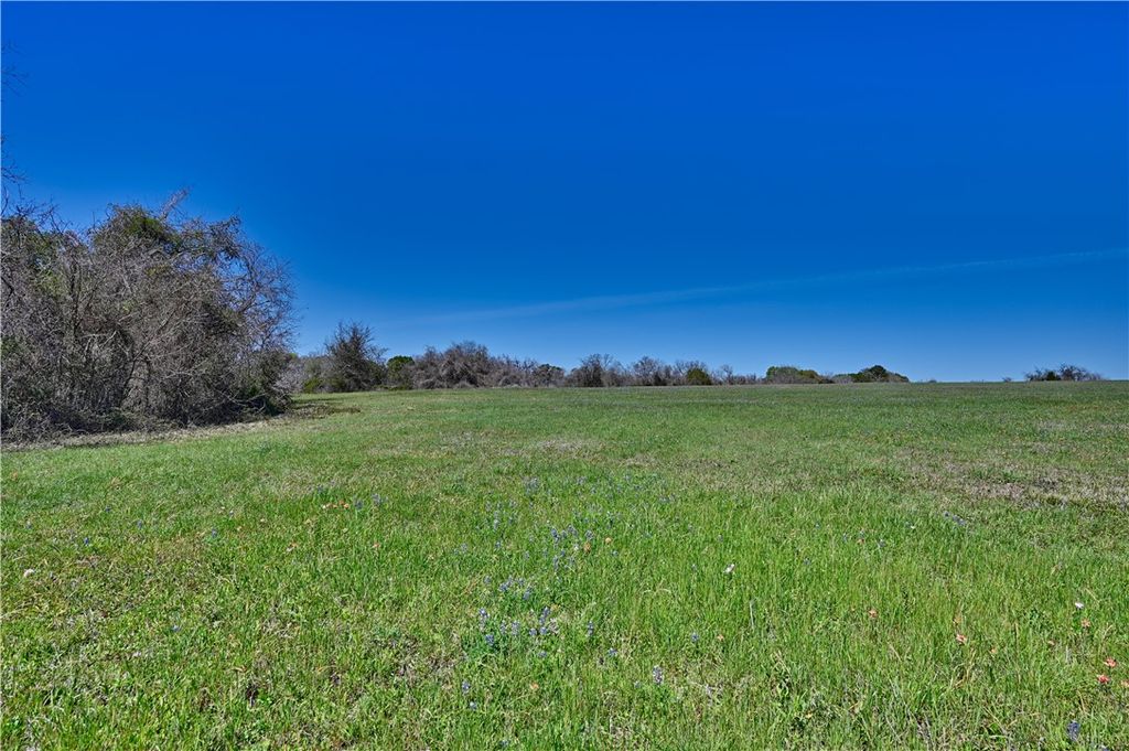 TBD FM 2 Road, Navasota, TX 77868 — photo 4