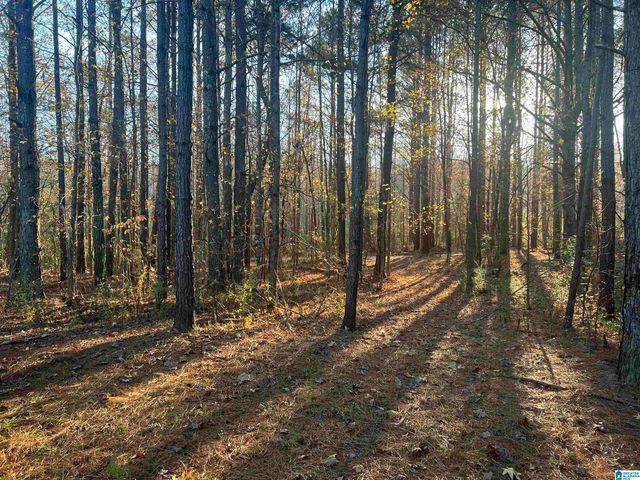 5435 COUNTY ROAD 43, Heflin, AL 36264
