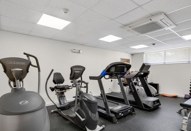210 Nahanton 117, Newton, MA 02459