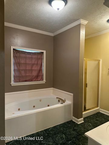 133 Wildwood Boulevard, Jackson, MS 39212