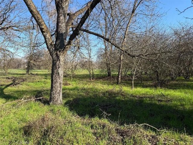 4085 County Road 203, Hamilton City, CA 95951