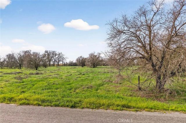 4085 County Road 203, Hamilton City, CA 95951