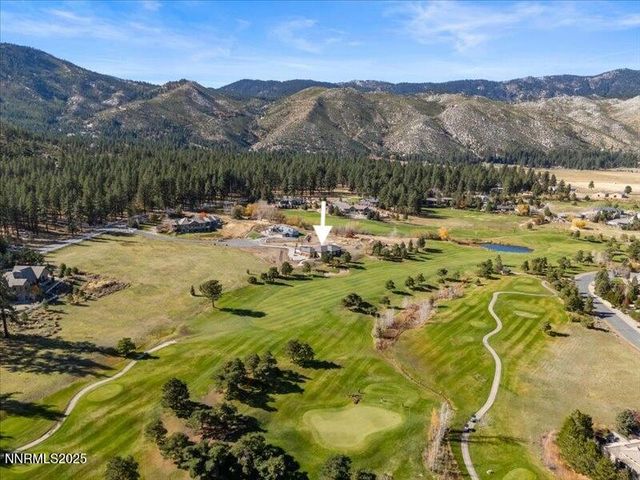 8 High Camp Court, Washoe Valley, NV 89704