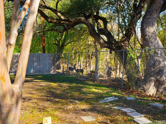 14022 Tree Crossing, San Antonio, TX 78247